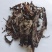 紫草进口紫草统个产地进口地道药材紫轩堂药业