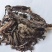 紫草进口紫草统个产地进口地道药材紫轩堂药业