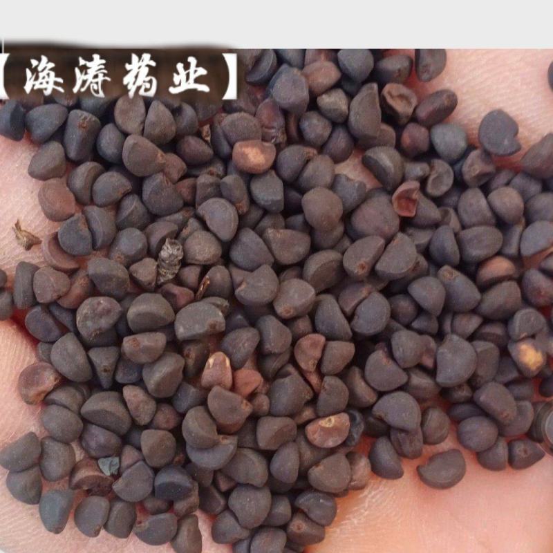 【牵牛子】产地自销产地一手货源大货供应规格齐全量大优惠。