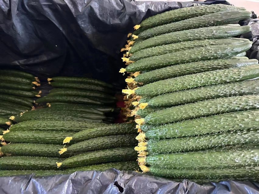 密刺黄瓜凉拌制作过程
