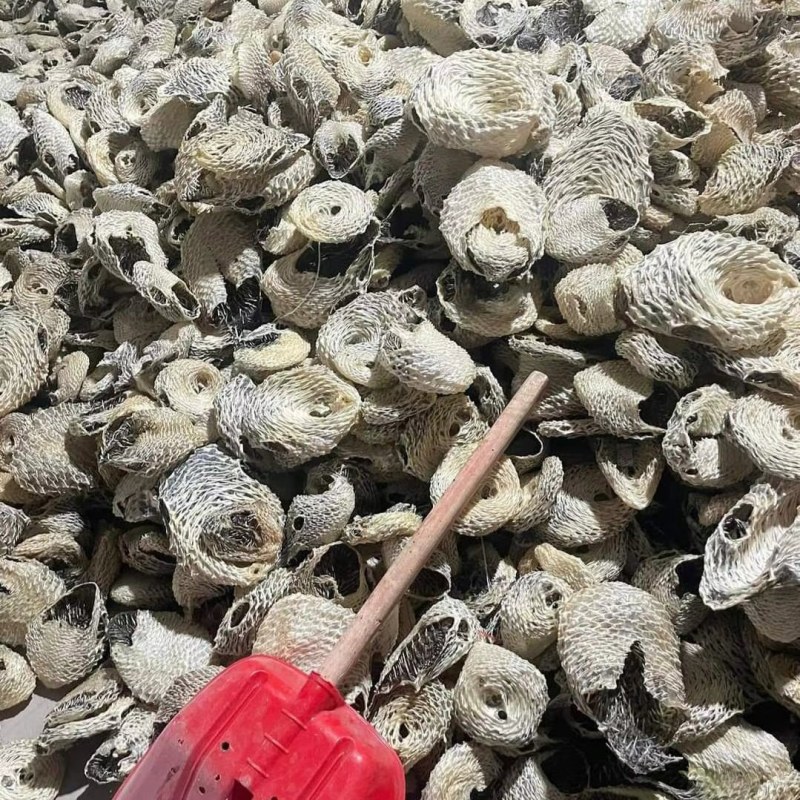 刺鱼皮，养颜美容，补充胶原蛋白。