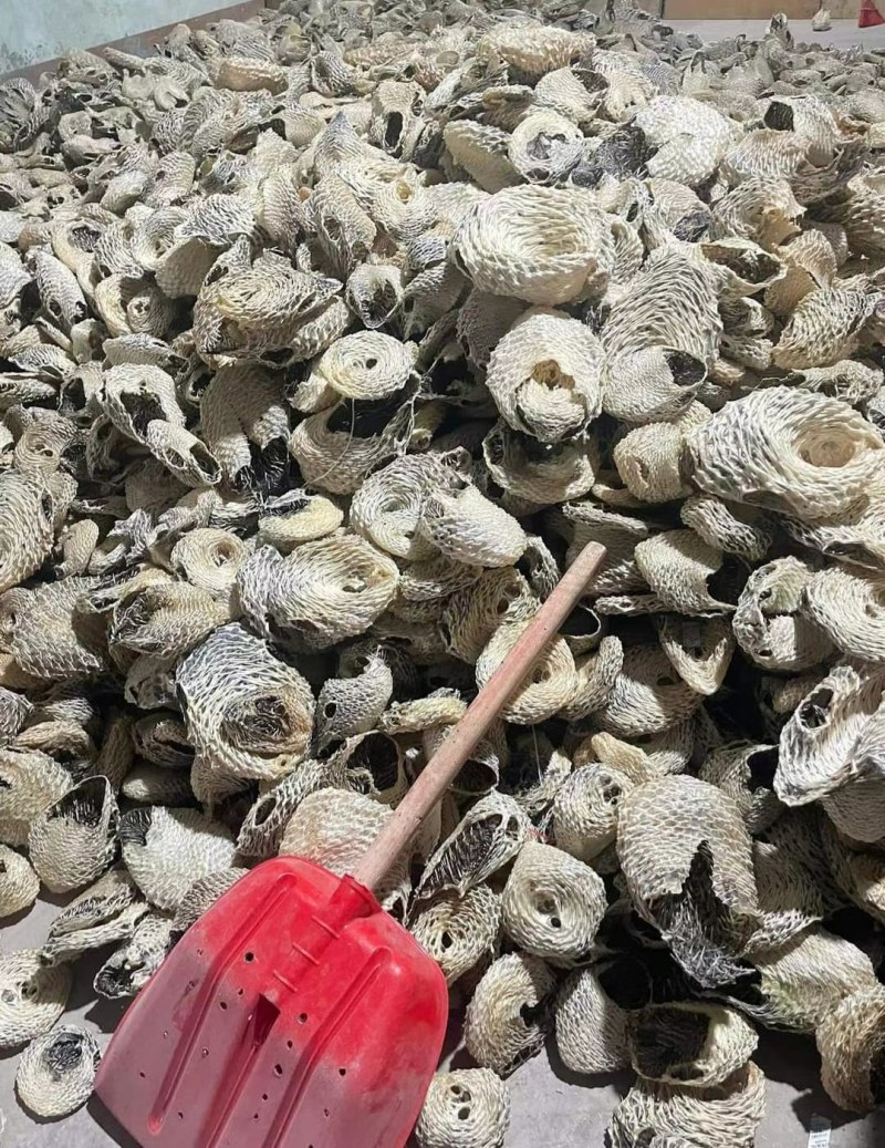 刺鱼皮，养颜美容，补充胶原蛋白。