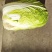 大白菜