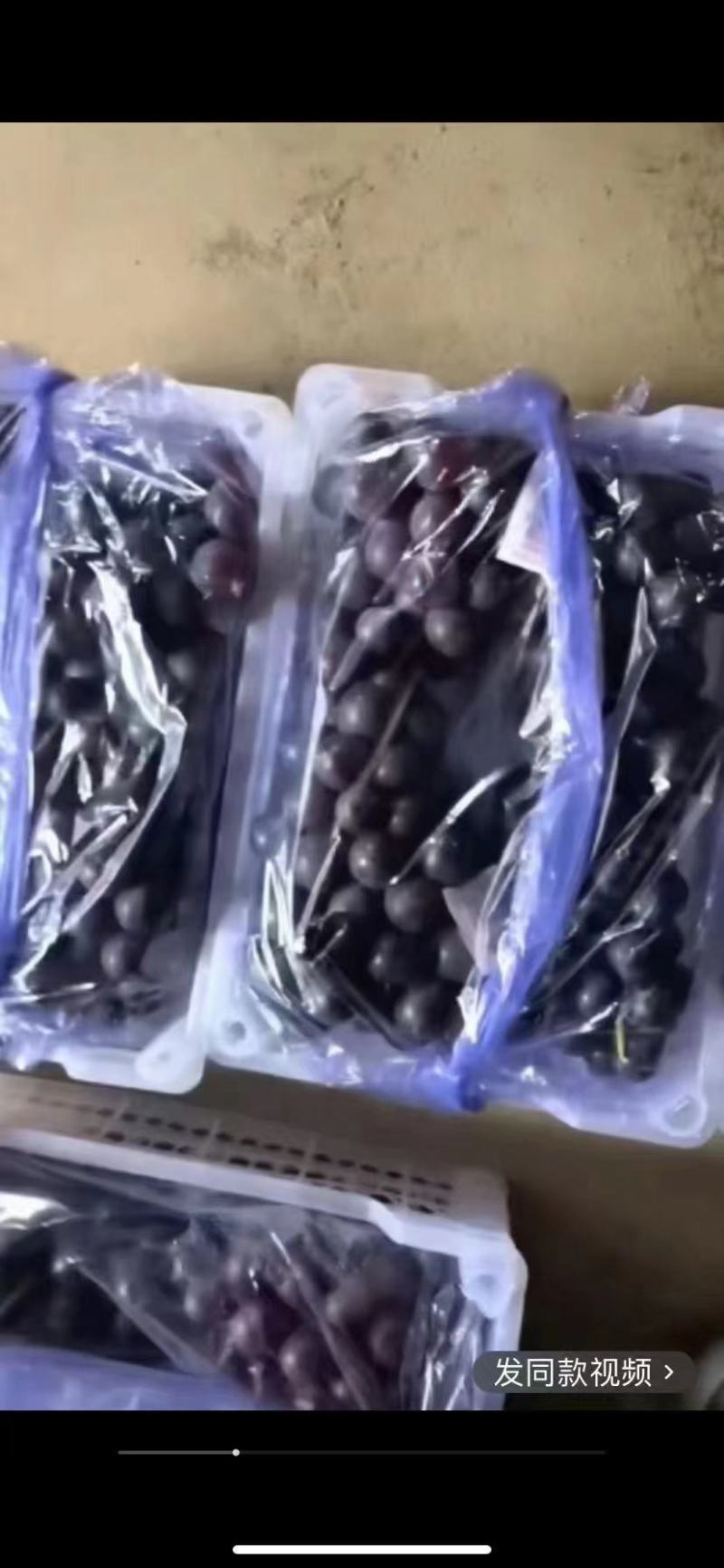 巨峰产地大颗粒巨峰葡萄，颗粒大，口感上乘，
