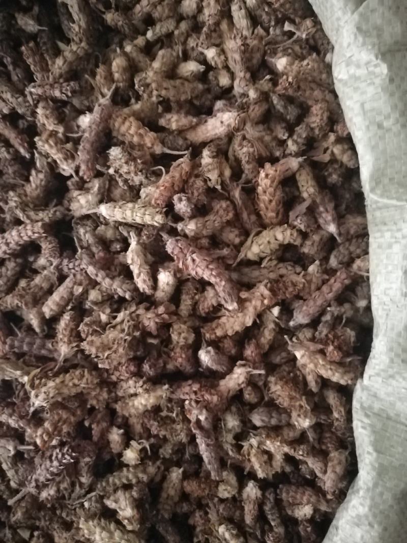 夏枯球，夏枯草，入药凉茶均可