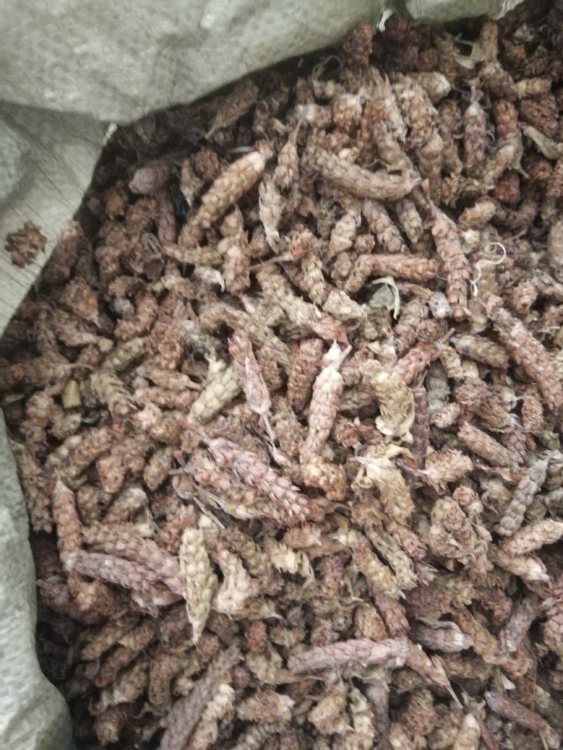 夏枯球，夏枯草，入药凉茶均可