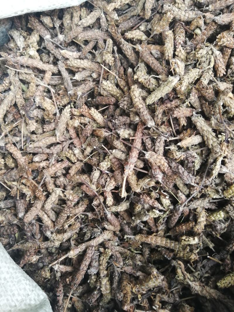 夏枯球，夏枯草，入药凉茶均可