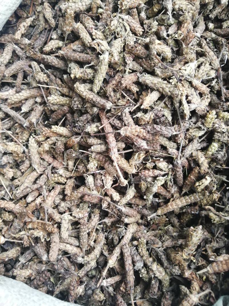 夏枯球，夏枯草，入药凉茶均可