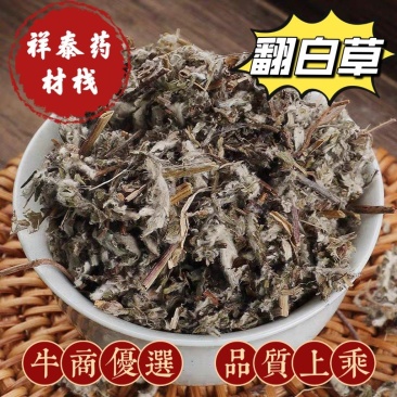 翻白草今年新货量多从优实物拍摄全国发货祥泰药材