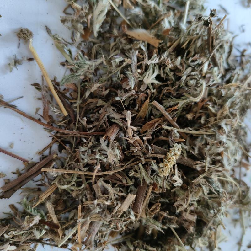 翻白草今年新货量多从优实物拍摄全国发货祥泰药材
