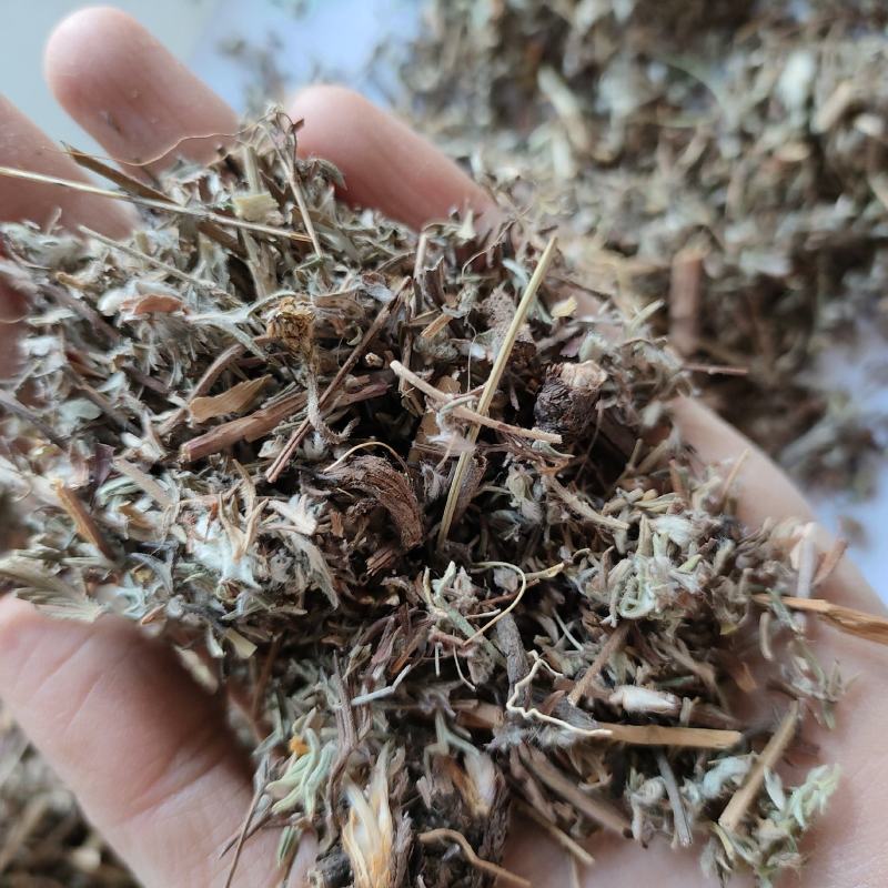 翻白草今年新货量多从优实物拍摄全国发货祥泰药材
