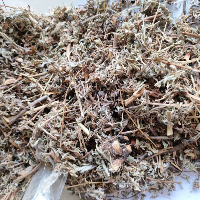 翻白草今年新货量多从优实物拍摄全国发货祥泰药材