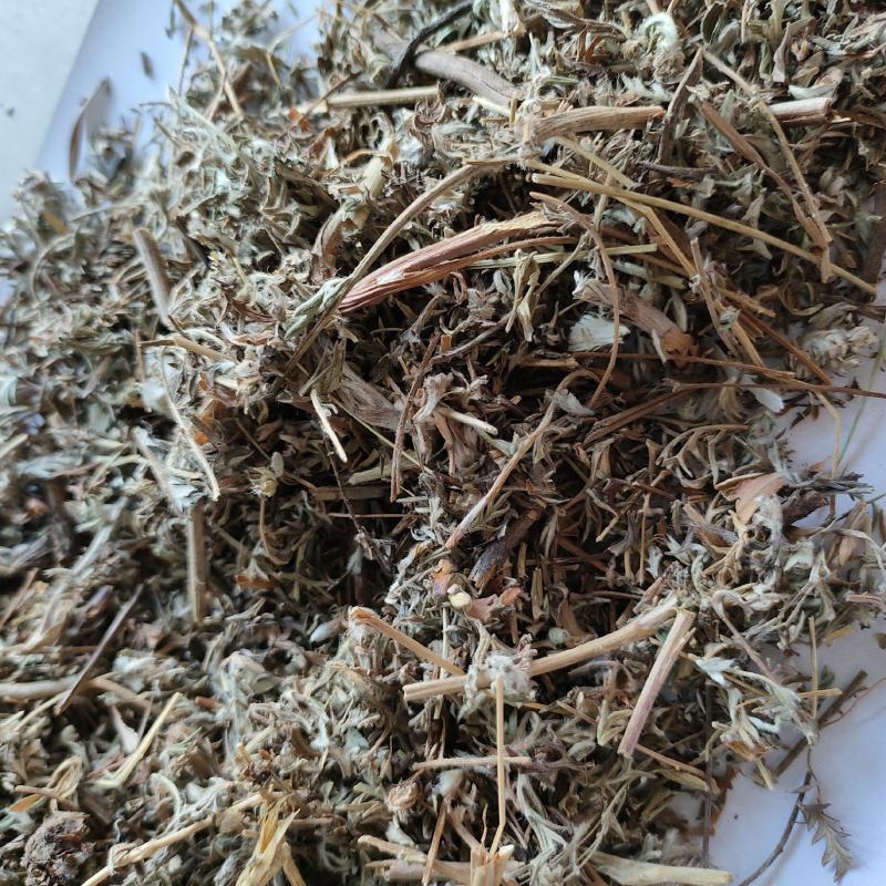 翻白草今年新货量多从优实物拍摄全国发货祥泰药材