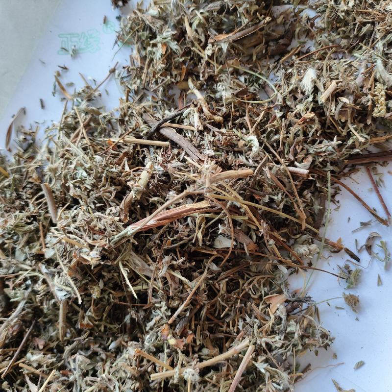 翻白草今年新货量多从优实物拍摄全国发货祥泰药材