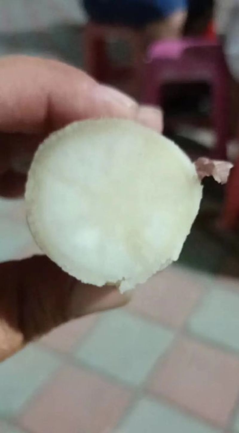 白哈密地瓜，产地一手货源，对接大型批发商，欢迎来电咨询