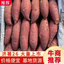 山东济薯济薯26一手货源视频品质保证以质论价