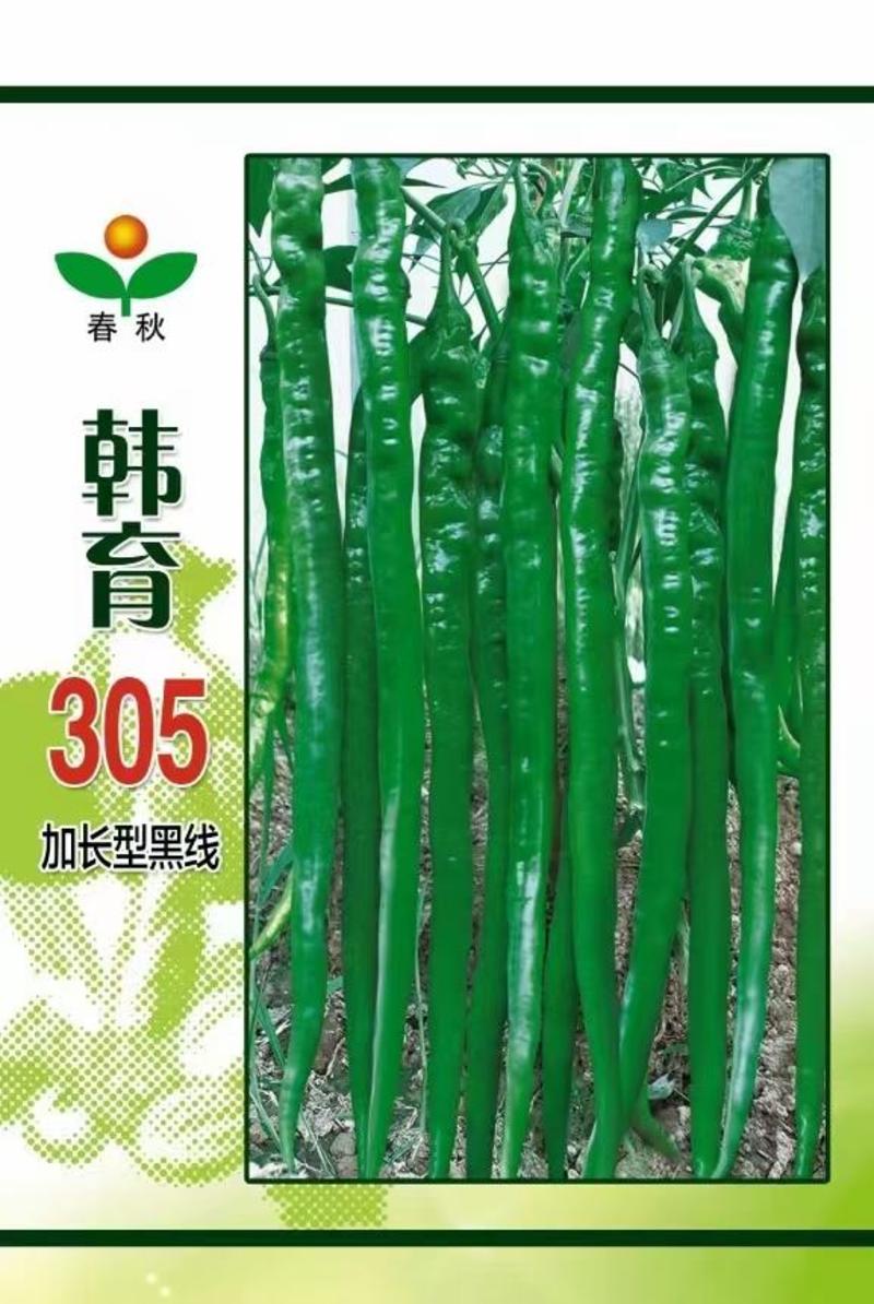 线椒种子韩育305加长型黑线椒青果深绿色红果鲜艳顺直