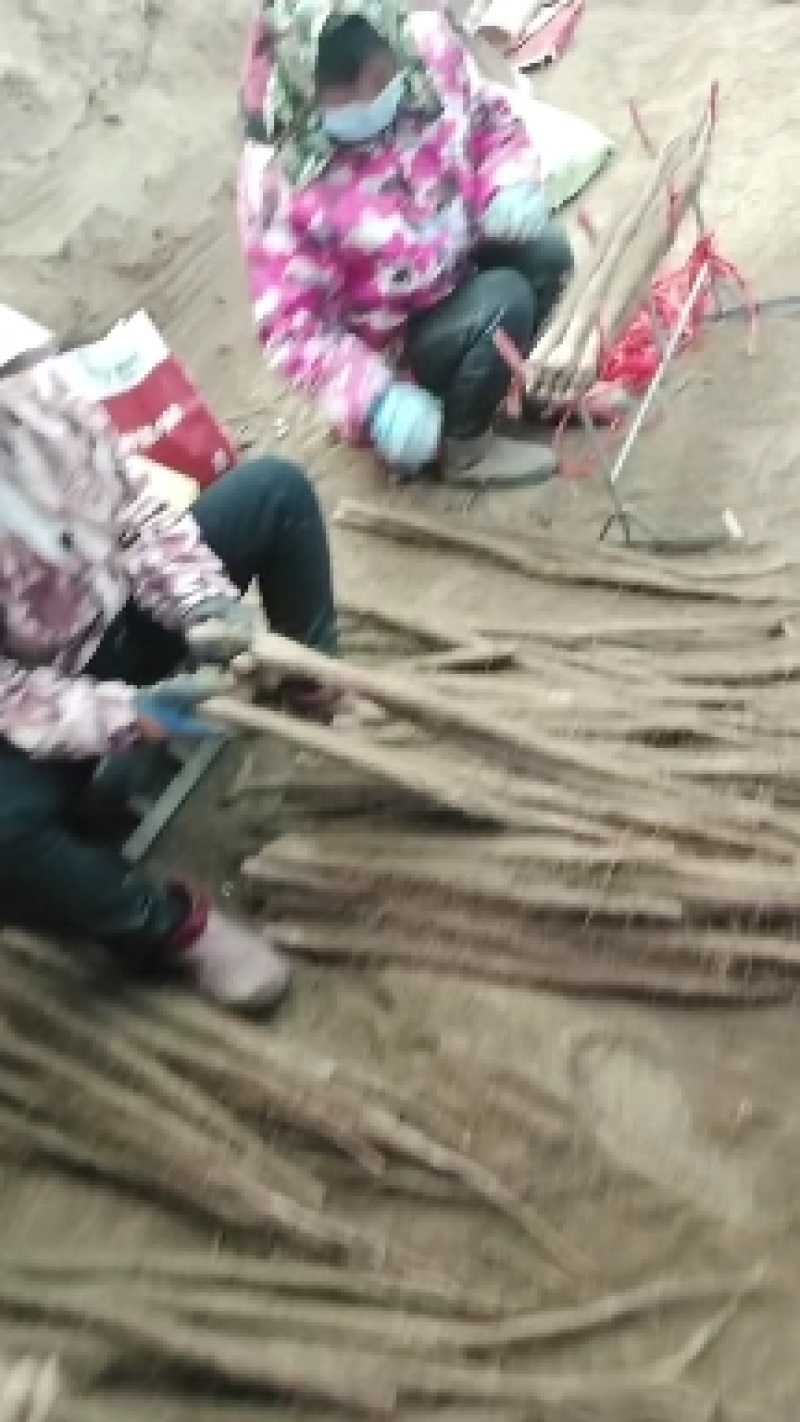 铁棍山药