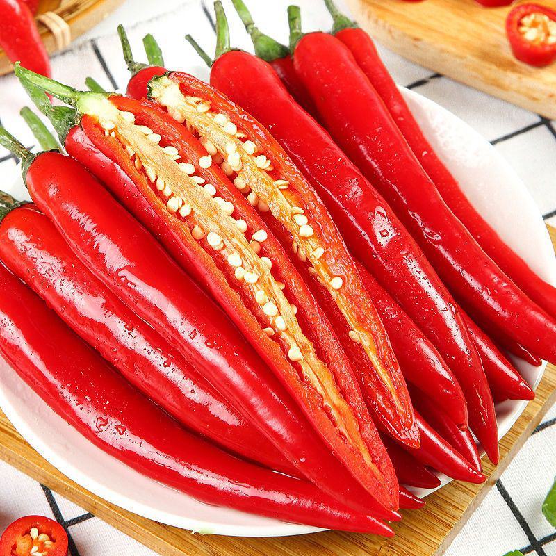 泡椒苗包回收青红泡椒苗白泡椒苗红泡椒苗免费技术指导