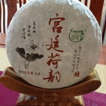 2012宫廷荷韵云南大叶春茶精心制作熟茶收藏送礼都很好