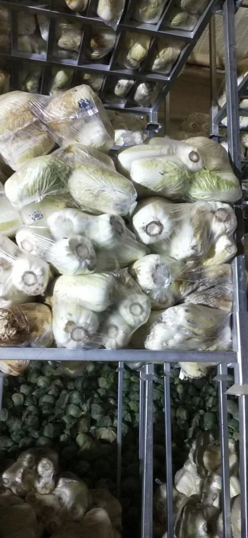 内蒙古玲珑黄白菜随行就市现摘现发商超品质