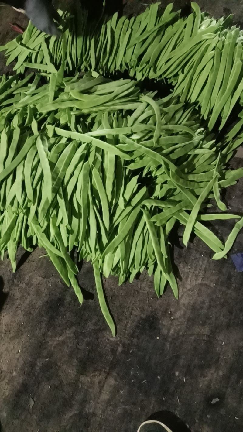 阳谷扁豆，新鲜蔬菜