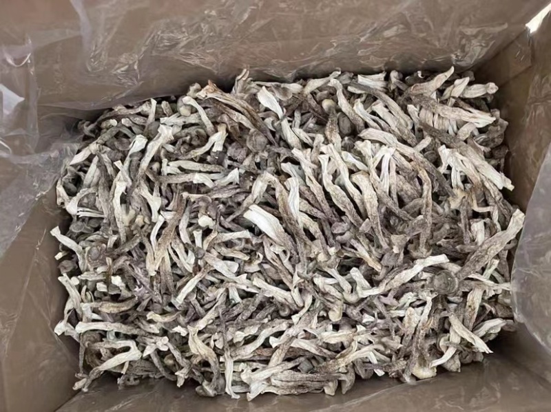 鹿茸菇（新货）直播专享、各种规格齐全、量大从优