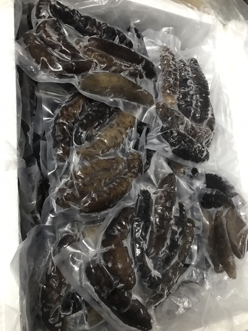 泡发海参鲜食参螺纹参厂家发货批发