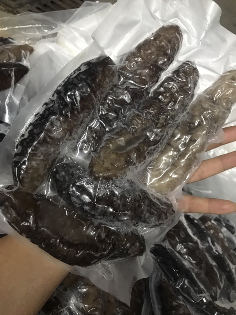 泡发海参鲜食参螺纹参厂家发货批发