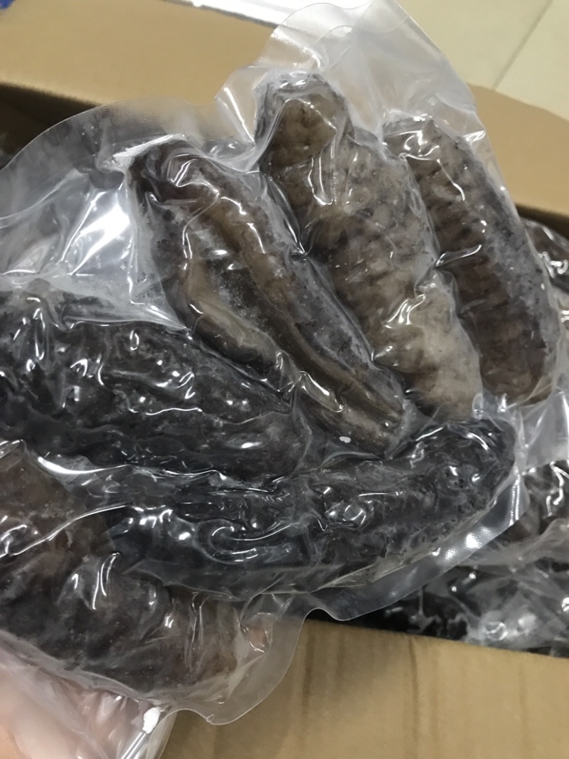 泡发海参鲜食参螺纹参厂家发货批发