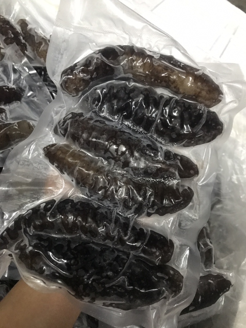 泡发海参鲜食参螺纹参厂家发货批发