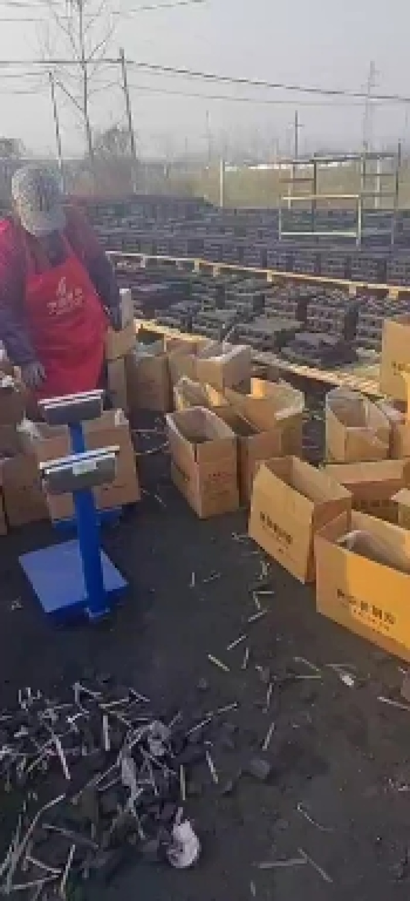 环保机制木炭