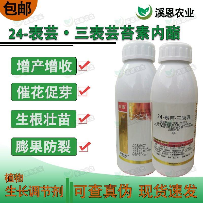 巴菲特碧扬24表芸三表芸苔素内脂植物生长调节剂促花保果壮