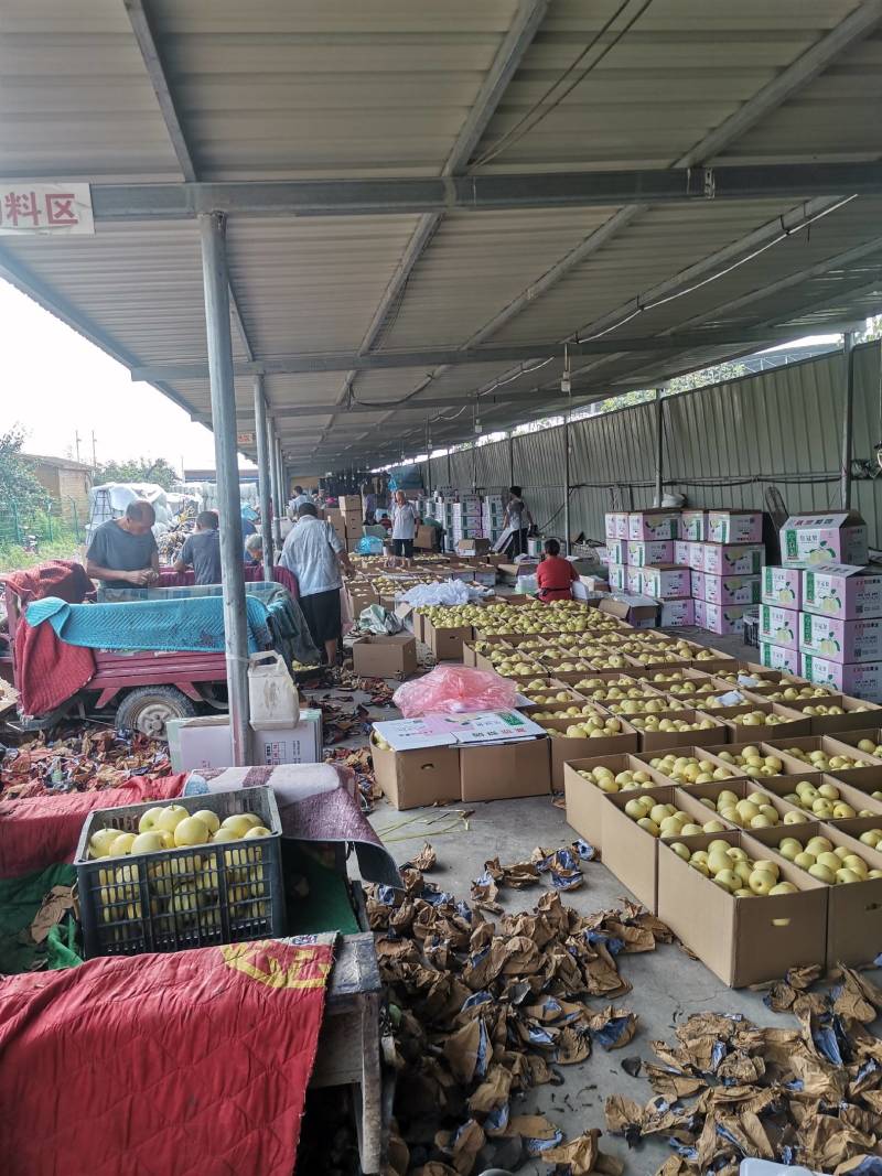批发市场搞批发怎么起步快一点