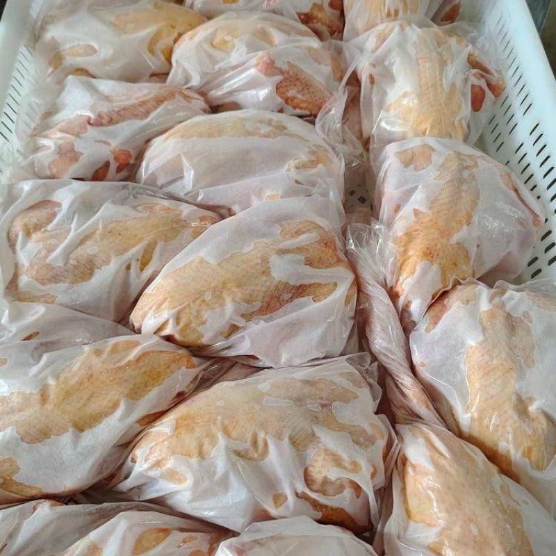 乳鸽原粮乳鸽鸽肉老鸽子，对接餐饮，批发，工厂直发