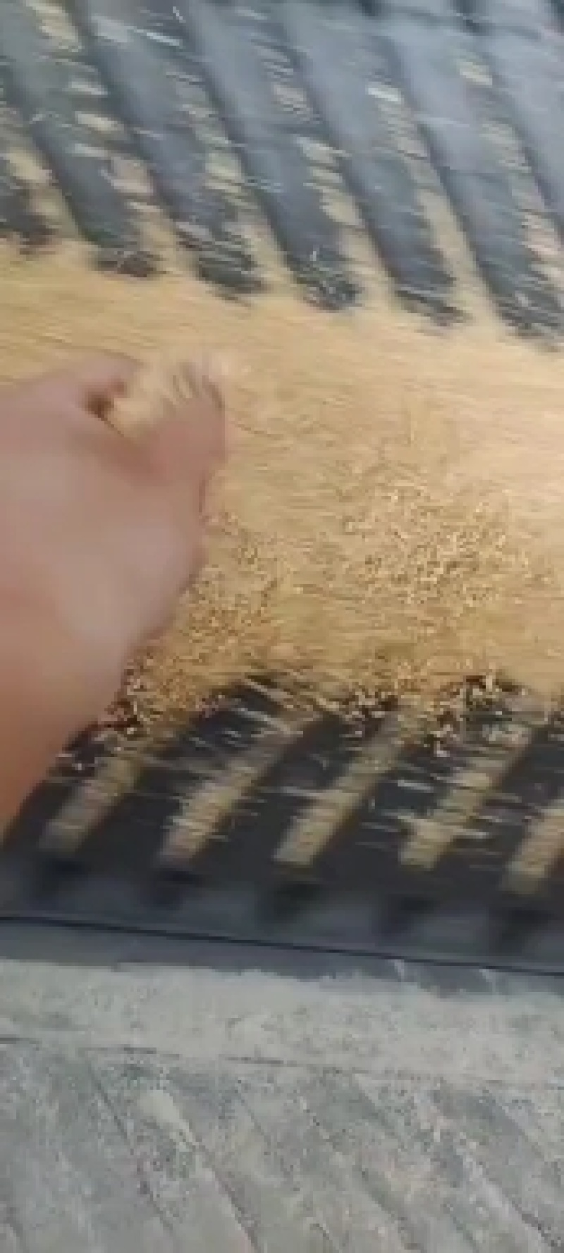 豆粕辅料
