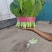 【推荐】河北小白菜精品毛白菜一手货源大量上市量大优惠