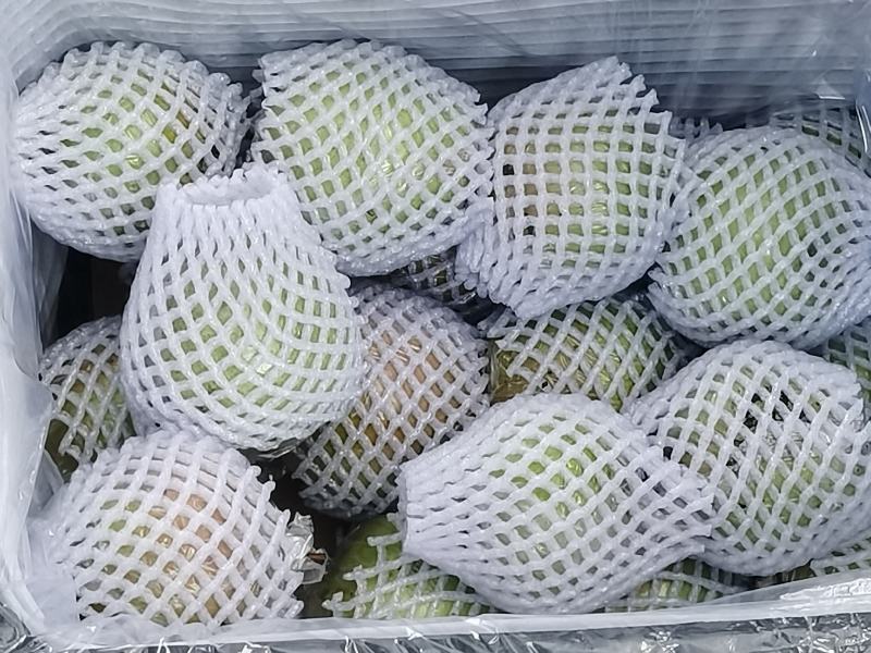 玉露香梨