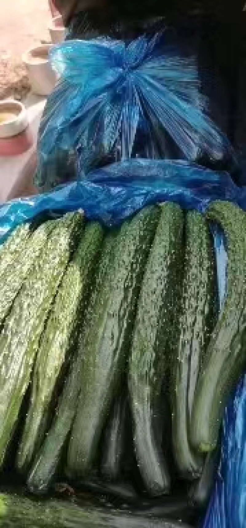 夏邑密刺黄瓜水果黄瓜大量上市，产地现货质量保证