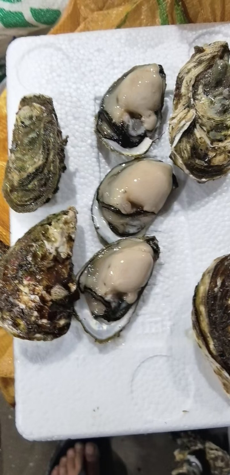 福建生蚝小包装