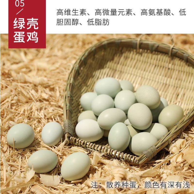 [一件代发]乌鸡蛋农家散养绿壳土鸡蛋乌鸡蛋30枚绿壳鸡蛋