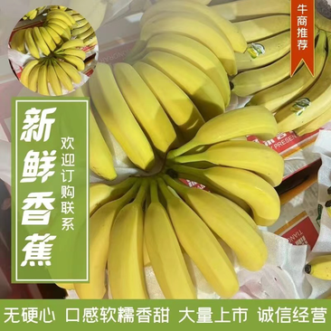 香蕉特价香蕉，口感软糯甜，质量保证，价格实惠，可发全国