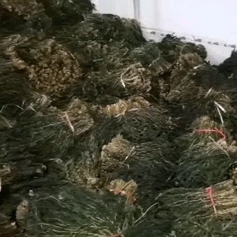 精品干萝卜叶一手货源，产地直销，鲜嫩可口