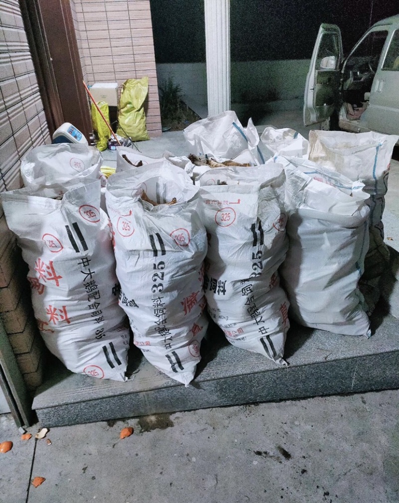 【江西春笋黄泥当日出土】新鲜现货没有中间商价格优惠