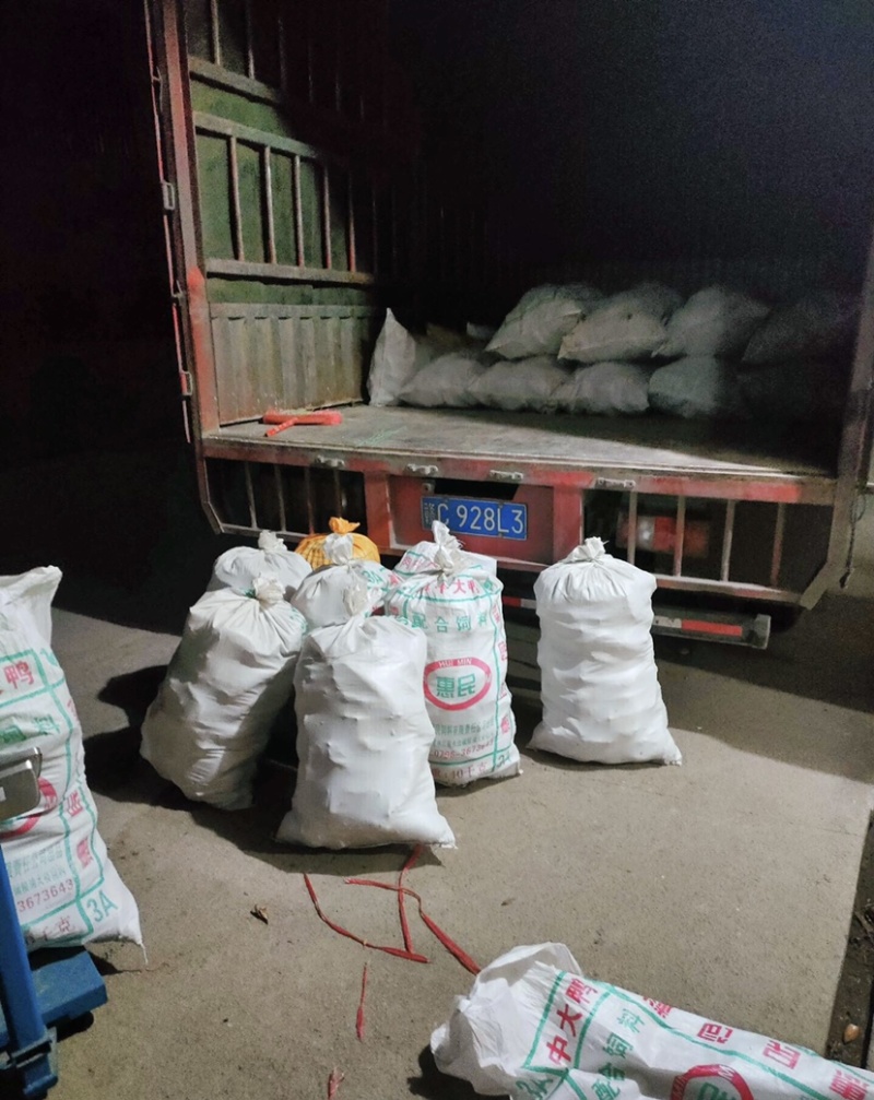 【江西春笋黄泥当日出土】新鲜现货没有中间商价格优惠