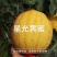特色西瓜品种星光黄蜜金黄皮红肉西瓜种子高糖皮薄大红瓤西瓜