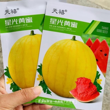 特色西瓜品种星光黄蜜金黄皮红肉西瓜种子高糖皮薄大红瓤西瓜