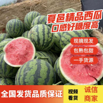 商丘夏邑精品麒麟西瓜8424西瓜原产地直发品质保证