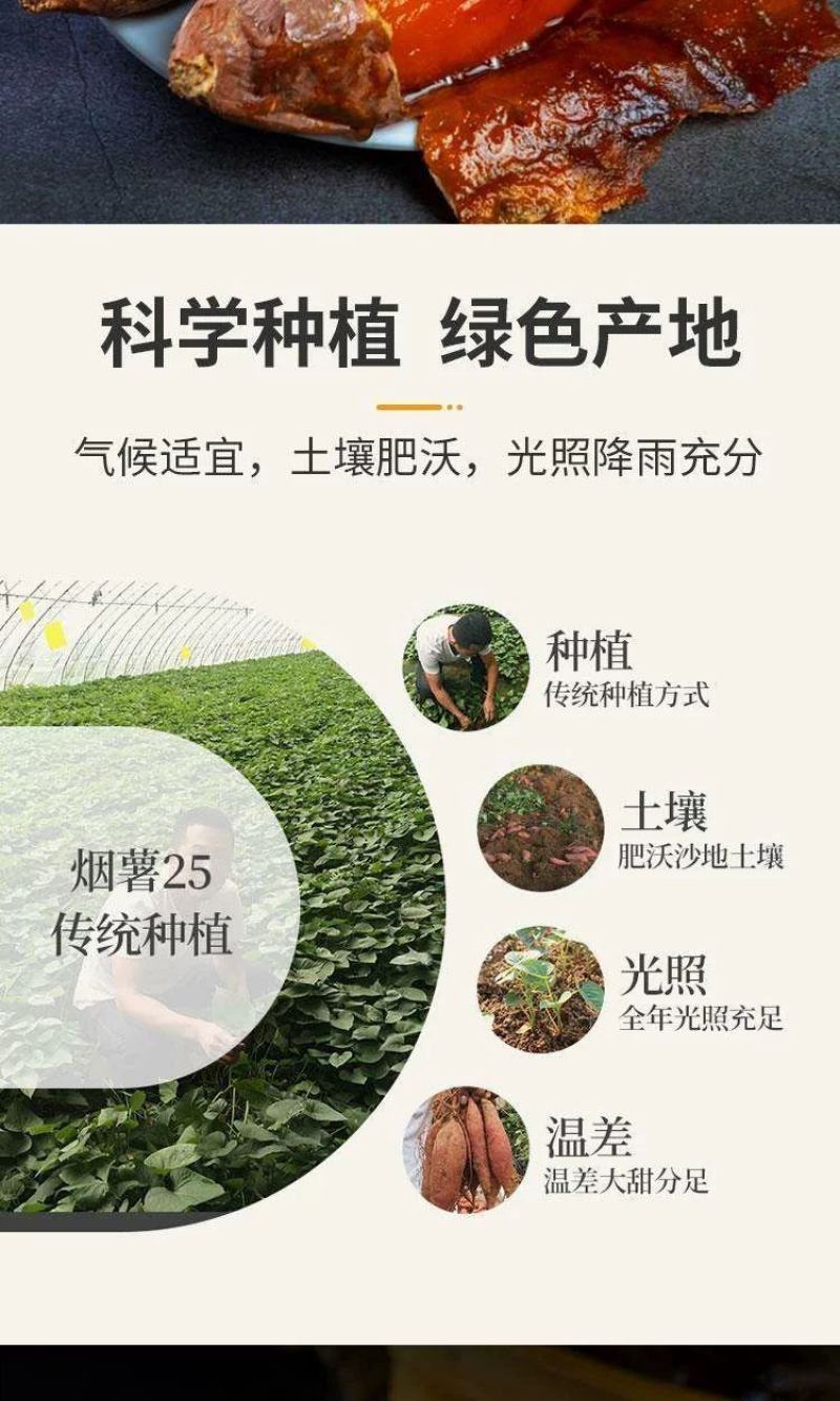 正宗烟薯25糖心蜜薯红薯地瓜