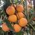塔罗科血橙，精品血橙,玫瑰香血橙，万亩果园欢迎看货